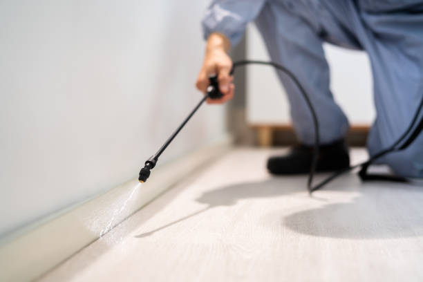 Licensed Termite Control service in Caruthers, CA - Nex Pest Control