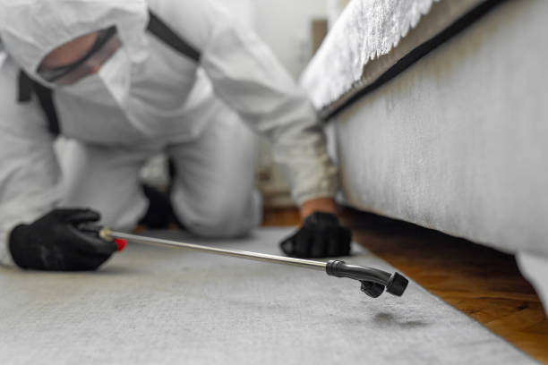 Professional Termite Control technician working in Caruthers, CA