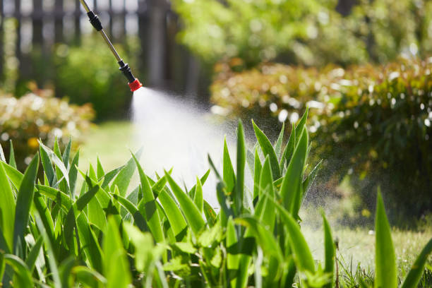 24/7 Emergency Termite Control experts in Caruthers, CA