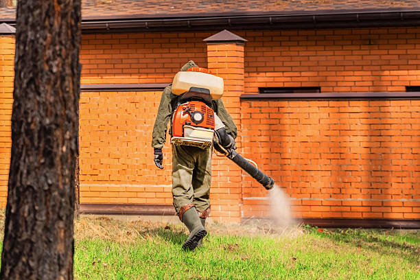 Top rated local Termite Control specialists in Caruthers, CA